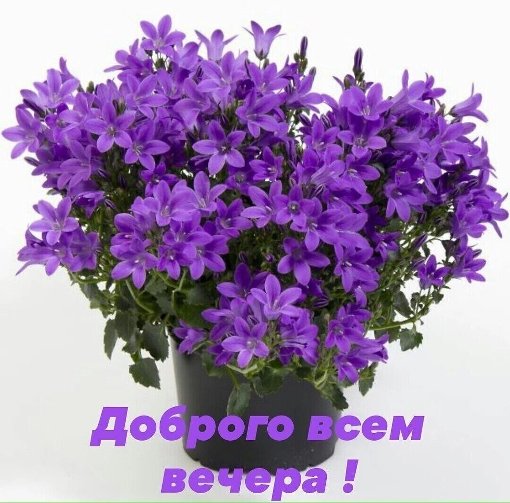   ,    . - 30  2025  14:53