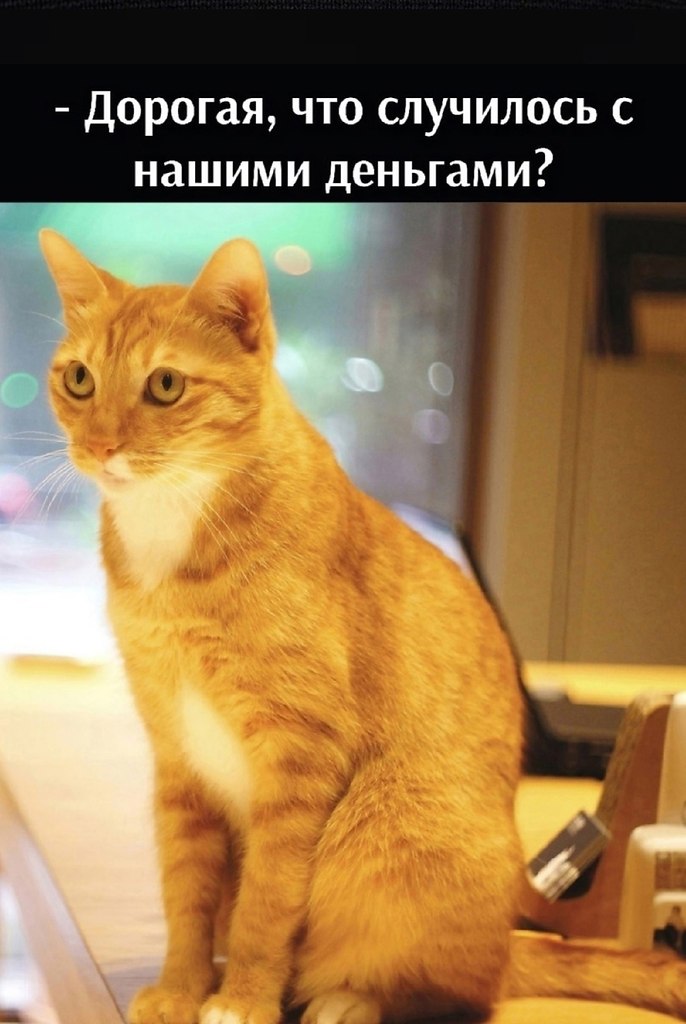       - 28  2024  15:44