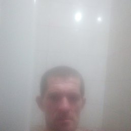 ������, ������, 41 ���