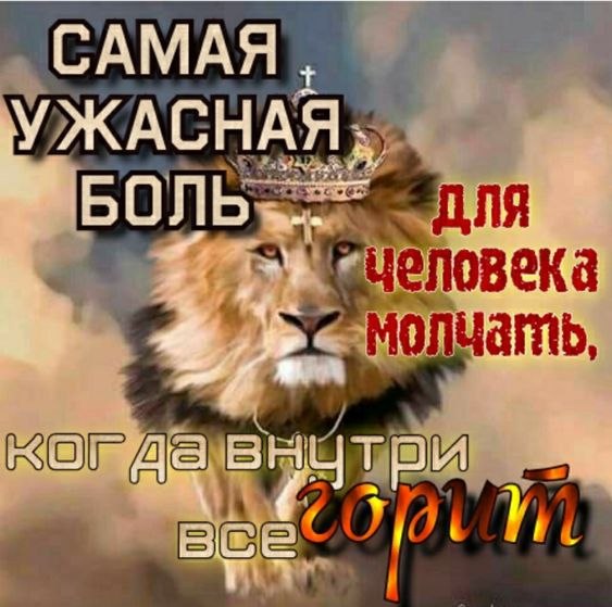 ₪╬═►  ||  ||  ◄═╬₪ - 18  2023  10:35