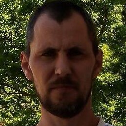 ���������, ������, 41 ���