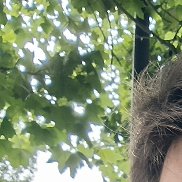 �����, 19 ���, ����