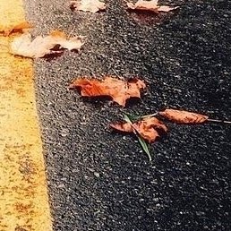 �����, �����