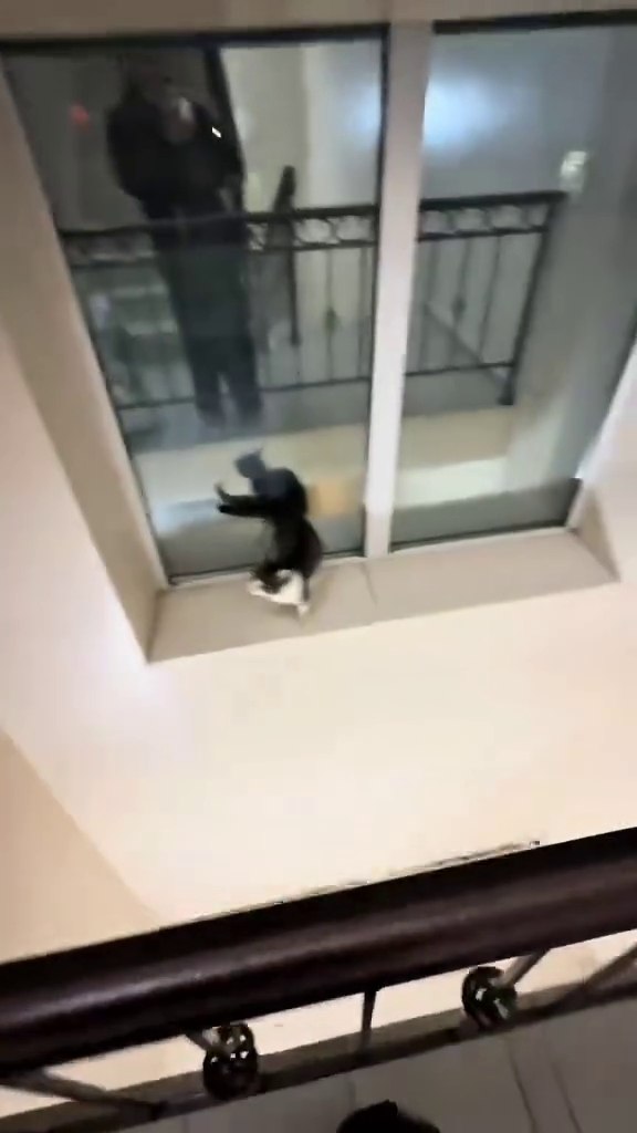 ��, �������� ��� �������, ���������. ��� � ���� ����� �������� ��� ��������! - 2