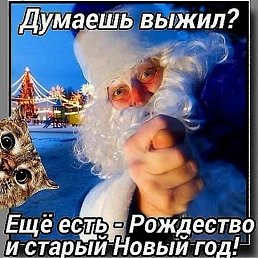 ���� ������, ����, 36 ��� - ��������� 4 ������ 2024