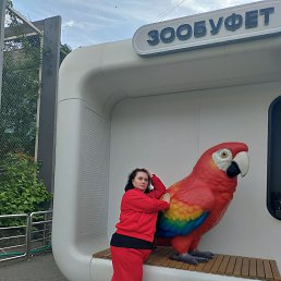 ���� �������, ������, 45 ��� - ��������� 6 ������� 2026