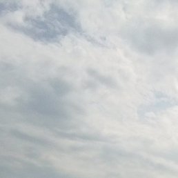 �������, ������, 42 ����