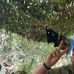 ��������., �����, 39 ���