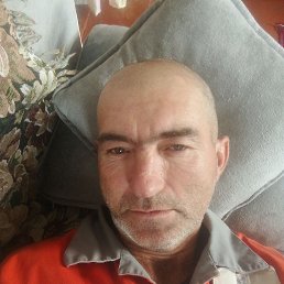 , 44, 