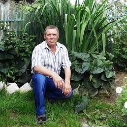 ������, 66 ���, ������