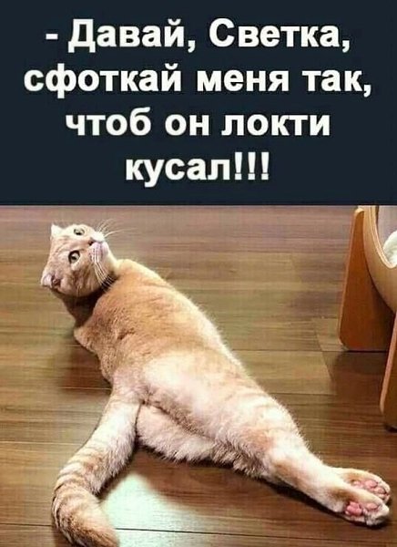  - 27  2024  10:31