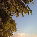 ���� �������, ���������, 62 ���� - ��������� 9 ���� 2024 � ������ ���� ����������