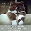 ���� (___((___Kent______(), ������, 38 ��� - ��������� 14 ��� 2024 � ������ ������ ��������