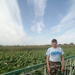 �������, ����, 66 ���