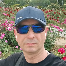 , 41, 