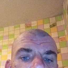, 41, 