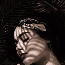 ����, �������, 29 ���