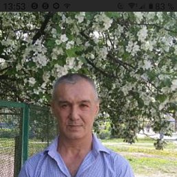 , 57, 
