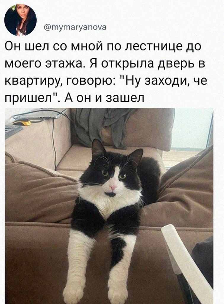    ,     ,    ,      ?