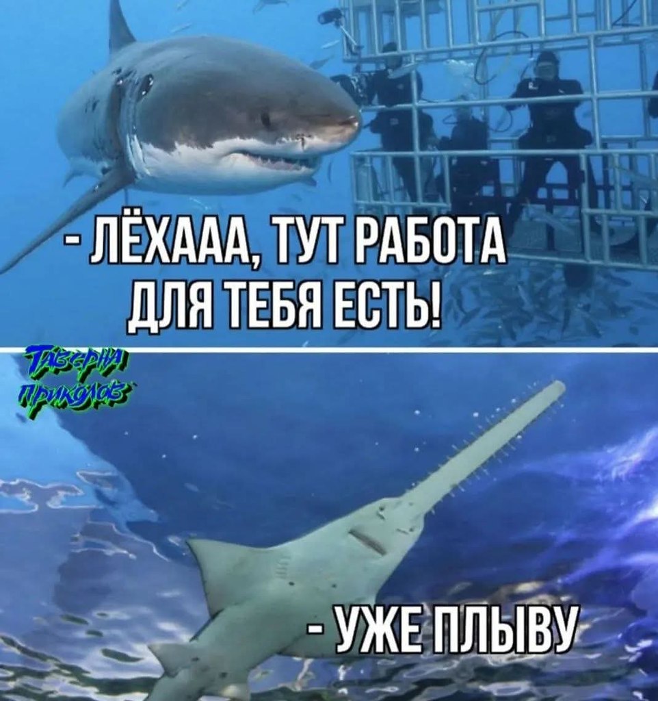   - 14  2025  16:17