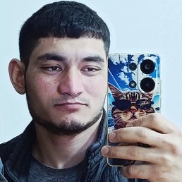 , 24, 