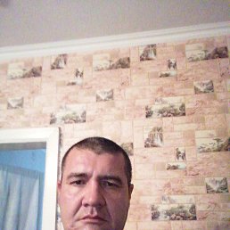 , 48, 