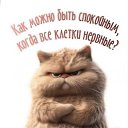    !!!,  -  13  2025