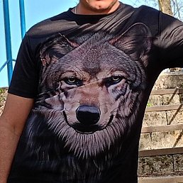 �����, ������, 35 ���