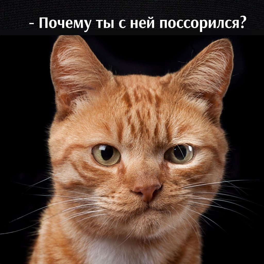 ��� ���� � ����� �� �� - 16 ������ 2026 � 17:12