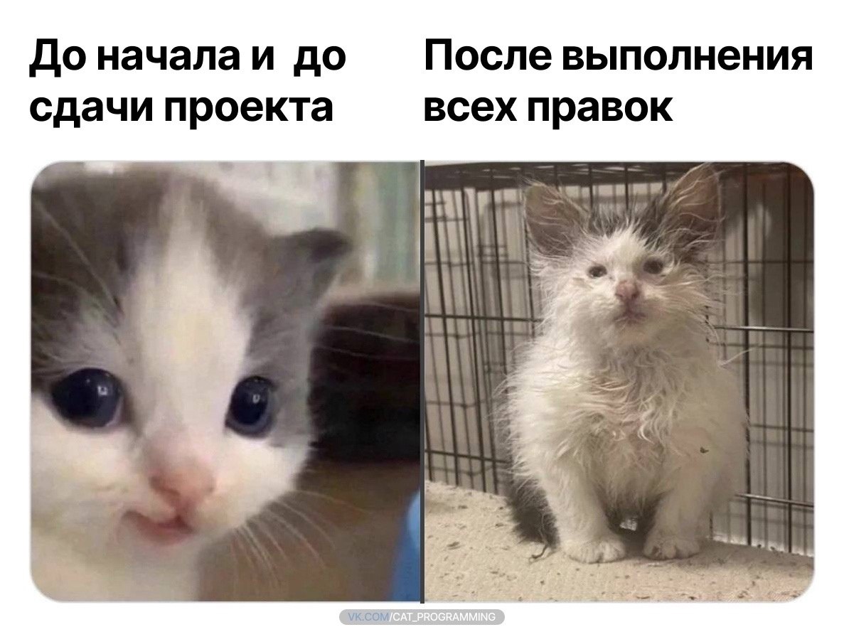 /zev/null - 8  2024  10:53