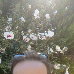 , 53, 