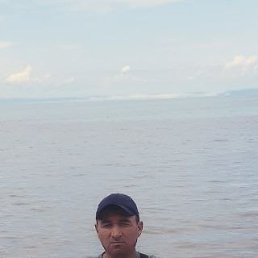 , 37, 