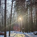 ���� ����, �����������, 42 ���� - ��������� 20 ��� 2024 � ������ ���� ����������