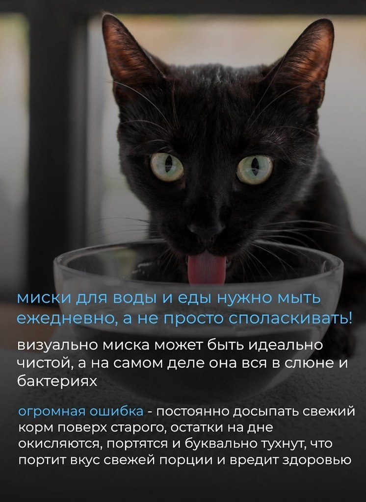 ���������� ����� ���������� ����� � ������������� �������� ����������. ������� ��������� ���� ... - 3