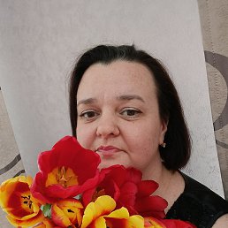 ���� �������, �������, 43 ���� - ��������� 4 ������� 2026