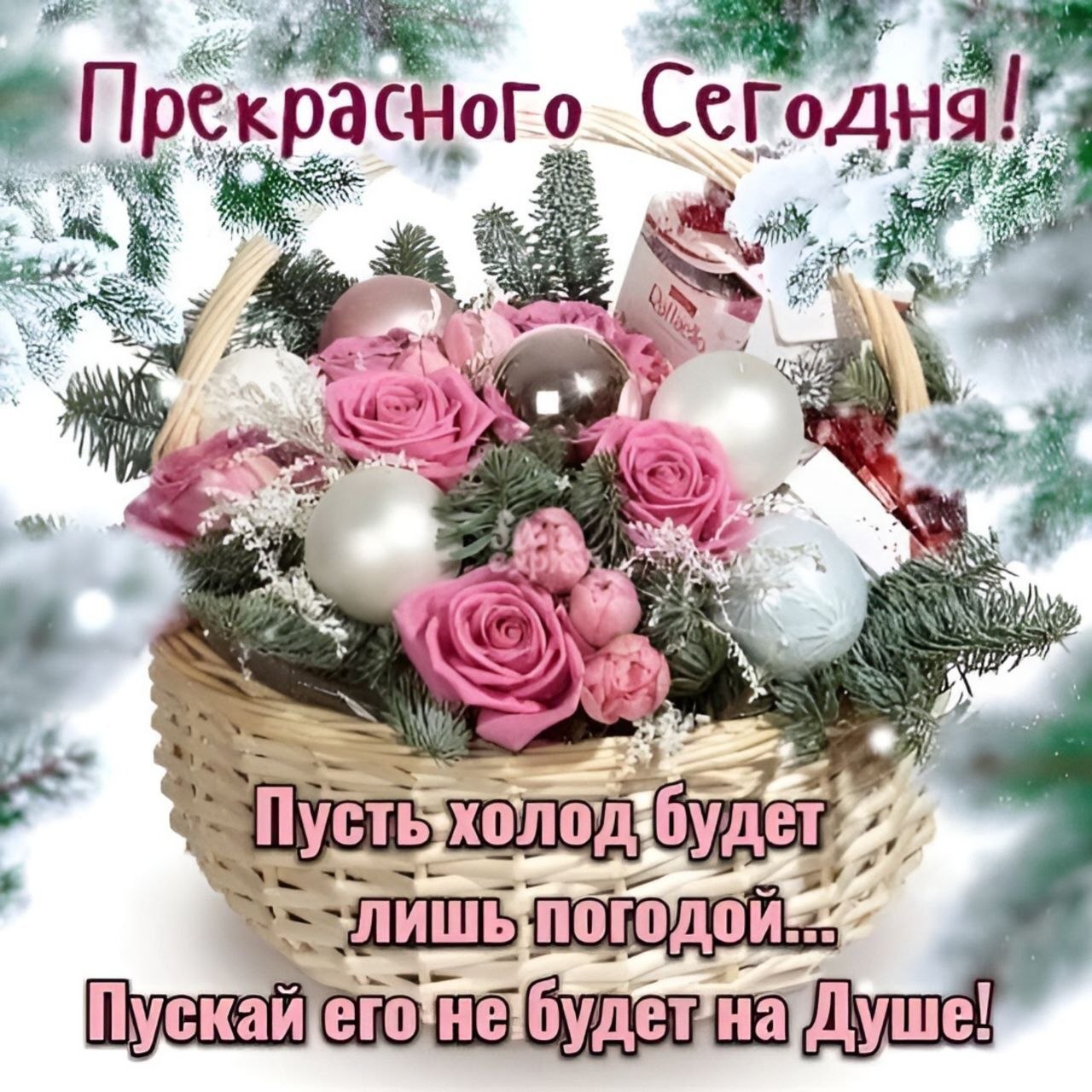 ***Victoria Viktorovna*** - 15  2024  10:39