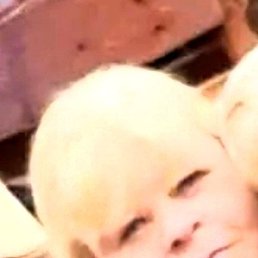 ������, ����, 54 ����