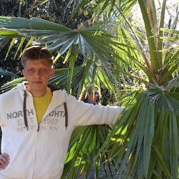 �������, 53 ����, �����