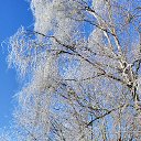 ���� �������, ������, 97 ��� - ��������� 13 ������� 2026 � ������ ������ ��������