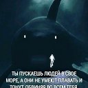  , , 59  -  11  2025    