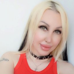 ���� ����, �������, 40 ��� - ��������� 28 ���� 2026