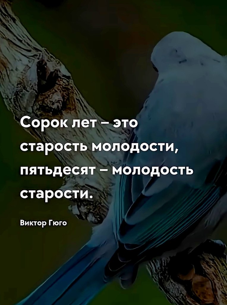   - 5  2025  07:08