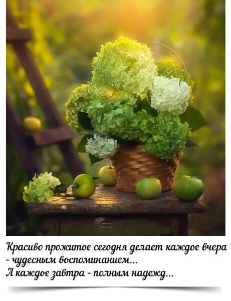   - 3  2025  15:49