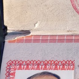 ���� �����, ������, 50 ��� - ��������� 22 ����� 2026