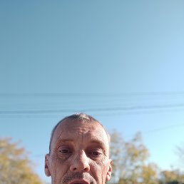 , 46 , 