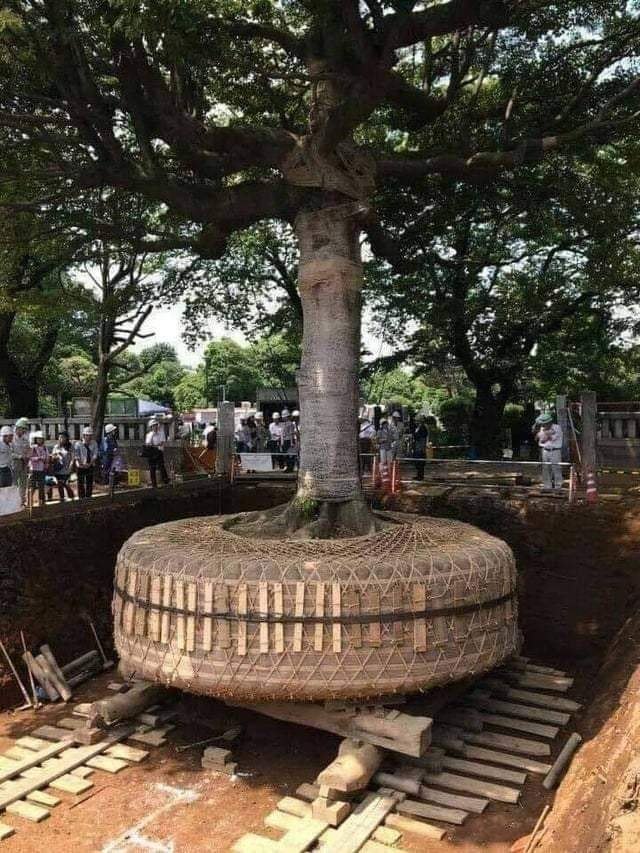  ,     ,      .