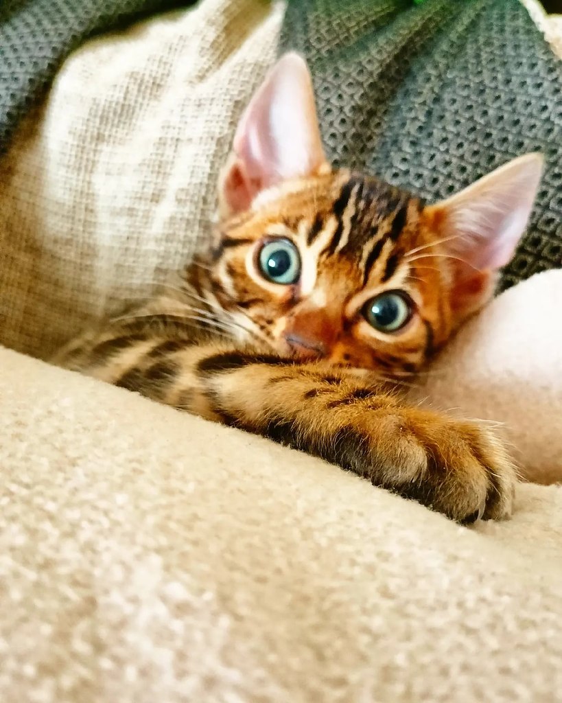 ,     . ,   !