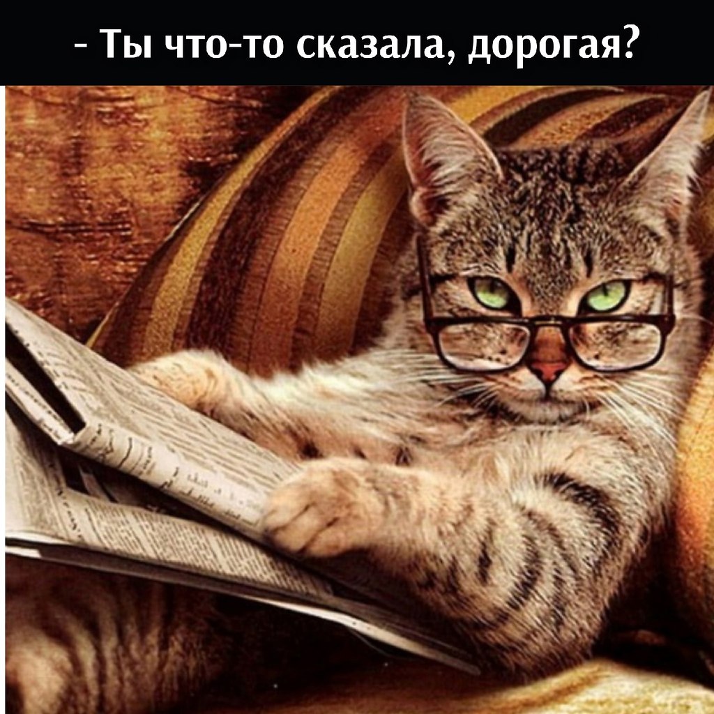       - 2  2025  22:48