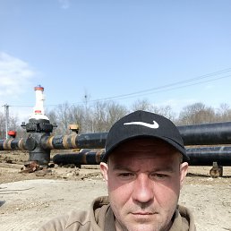 ������, 37 ���, ���������