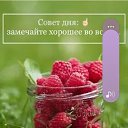 ���� ������, ������������, 57 ��� - ��������� 19 ������� 2025 � ������ ������ ��������